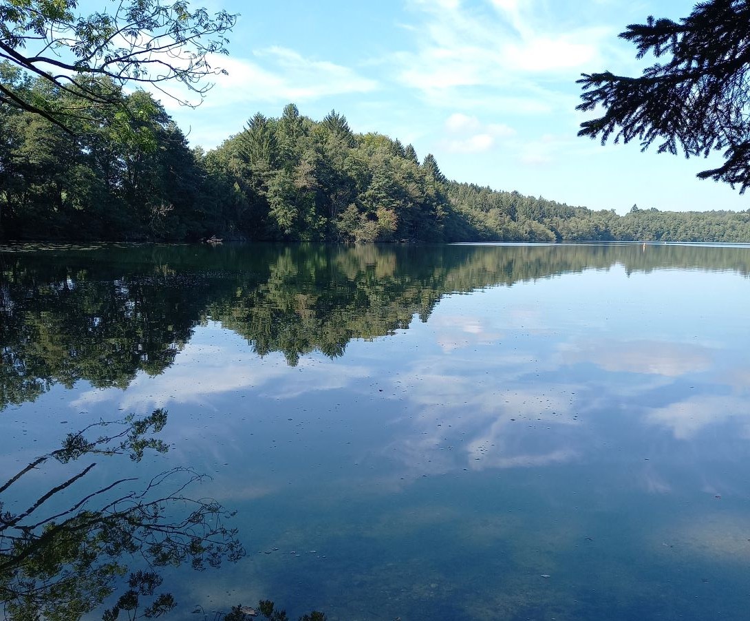 Spiegelung im See